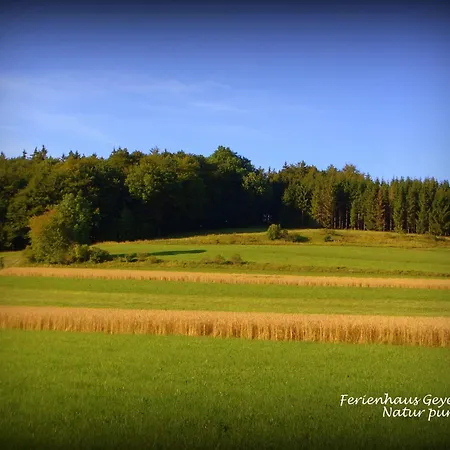 Ferienhaus Eichenstein - Beim Ferienhaus Geyerbad 度假居